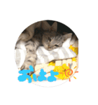 うちのれんちゃん♥（個別スタンプ：21）