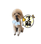 やる気無い（個別スタンプ：3）