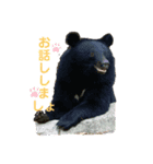 思い出アーカイブスタンプ①（個別スタンプ：4）