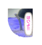 思い出アーカイブスタンプ①（個別スタンプ：5）