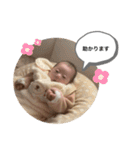 そな氏スタンプ（個別スタンプ：38）