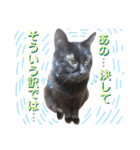 黒猫トムチ5（個別スタンプ：7）