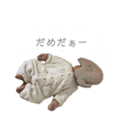 生後2ヶ月。ひまちゃん使える日常スタンプ（個別スタンプ：15）