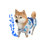 そんなに可愛くてどうするの？（個別スタンプ：20）