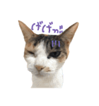 そんなに可愛くてどうするの？（個別スタンプ：35）