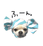 くりお君のスタンプ（個別スタンプ：14）