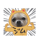 くりお君のスタンプ（個別スタンプ：27）