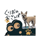 くりお君のスタンプ（個別スタンプ：31）