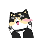 柴犬 ポテト（個別スタンプ：1）