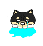 柴犬 ポテト（個別スタンプ：5）