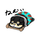 柴犬 ポテト（個別スタンプ：6）