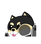 柴犬 ポテト（個別スタンプ：8）