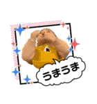 背中と頭頂部で語る真のスタンプ（個別スタンプ：22）