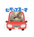 DAIHUKUKUN（個別スタンプ：6）