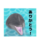 日常で使えるちょっとリアルな生きものたち（個別スタンプ：15）