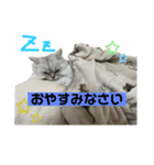 えりざべスタンプ（個別スタンプ：2）