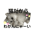 えりざべスタンプ（個別スタンプ：5）