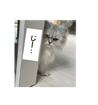 えりざべスタンプ（個別スタンプ：6）
