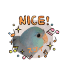 チノカフェさんちの♪あざと可愛いインコ（個別スタンプ：7）