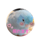チノカフェさんちの♪あざと可愛いインコ（個別スタンプ：12）