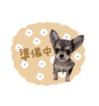 ♡ぽこ・ぴの・ぱに・ペる・ぷてちゃん（個別スタンプ：3）