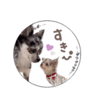 ♡ぽこ・ぴの・ぱに・ペる・ぷてちゃん（個別スタンプ：4）