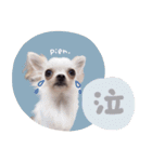 ♡ぽこ・ぴの・ぱに・ペる・ぷてちゃん（個別スタンプ：7）