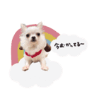 ♡ぽこ・ぴの・ぱに・ペる・ぷてちゃん（個別スタンプ：10）