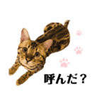 あるれおすたんぷ（個別スタンプ：21）