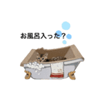 あるれおすたんぷ（個別スタンプ：22）