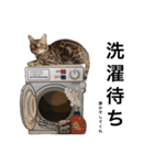 あるれおすたんぷ（個別スタンプ：23）