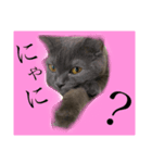 チャン 可愛い（個別スタンプ：2）