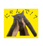 チャン 可愛い（個別スタンプ：6）