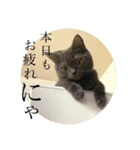 チャン 可愛い（個別スタンプ：8）