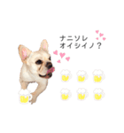 frenchie mugi #01（個別スタンプ：8）