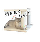 ビビカイのイチャコラスタンプ（個別スタンプ：4）