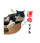 ビビカイのイチャコラスタンプ（個別スタンプ：6）