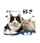 ビビカイのイチャコラスタンプ（個別スタンプ：15）