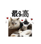 ビビカイのイチャコラスタンプ（個別スタンプ：18）
