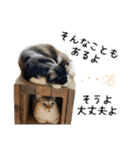 ビビカイのイチャコラスタンプ（個別スタンプ：20）