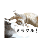 ビビカイのイチャコラスタンプ（個別スタンプ：21）