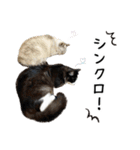 ビビカイのイチャコラスタンプ（個別スタンプ：22）