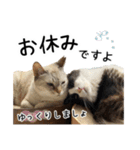 ビビカイのイチャコラスタンプ（個別スタンプ：23）