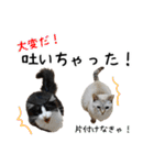 ビビカイのイチャコラスタンプ（個別スタンプ：27）