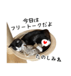 ビビカイのイチャコラスタンプ（個別スタンプ：30）