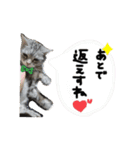 うちのれんちゃんNo.2（個別スタンプ：14）