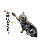 うちのれんちゃんNo.2（個別スタンプ：33）