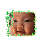 みるのステッカー年末年始あいさつversion（個別スタンプ：5）
