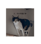 山田家のアイドル達（個別スタンプ：3）