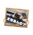 早渕家2（個別スタンプ：2）